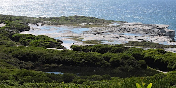 Cape Baily Coast Walk, 27 June